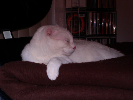ThePea 024