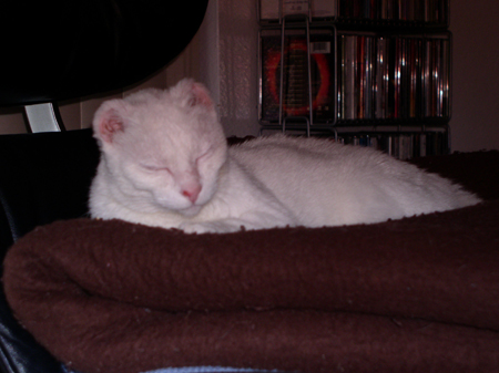 ThePea 025